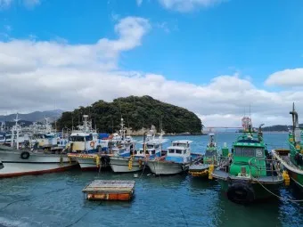 완도항 여객선터미널 시간표 배편 예매 요금_15