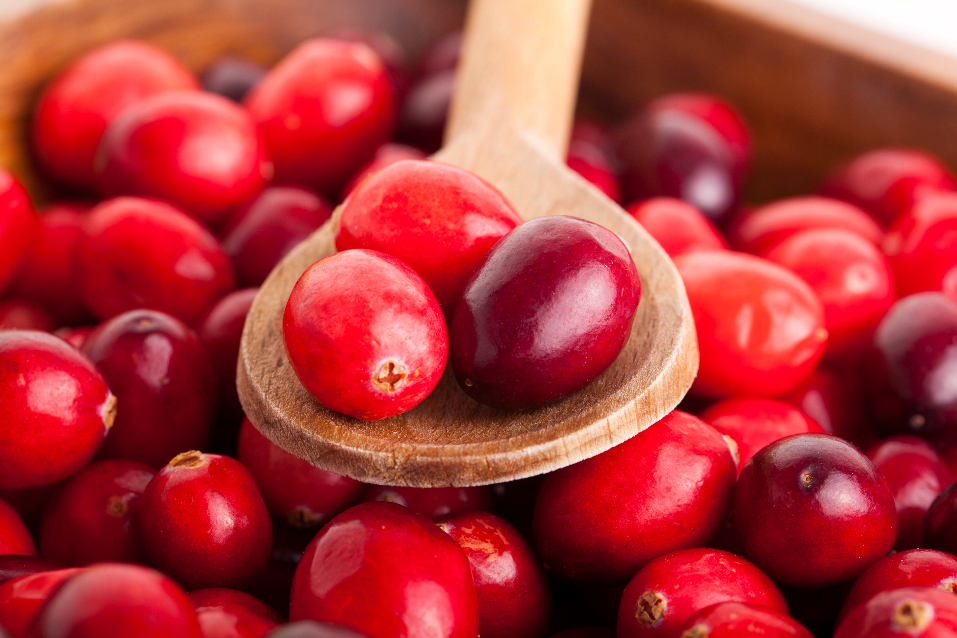 방광염에좋은 6