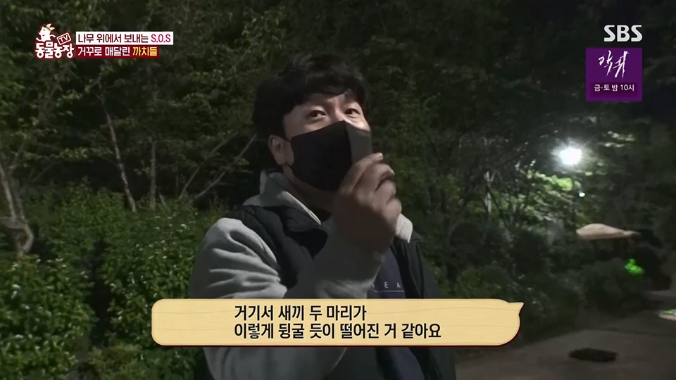 TV 동물농장.E1126.230625p.H264-F1RST.mp4_20230626_204304.029.jpg