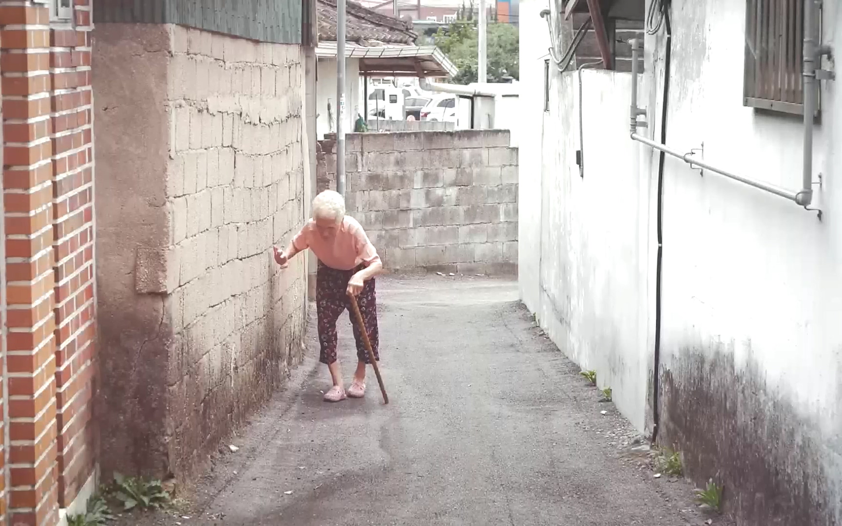 다큐 On.E161.221009p.H264-F1RST.mp4_20221011_211433.140.jpg