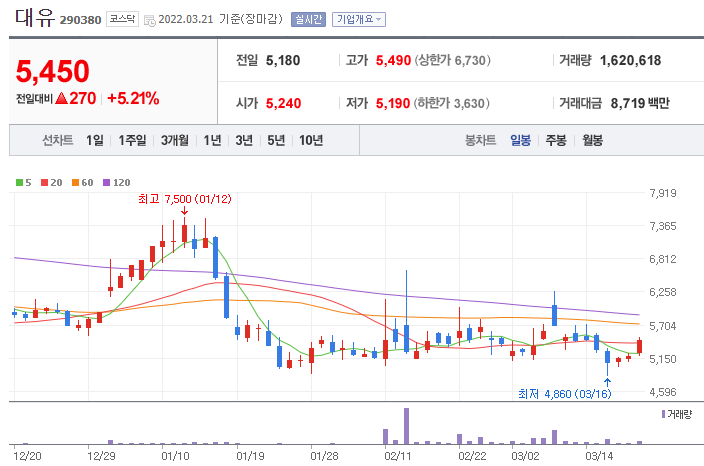 대유-주가-차트