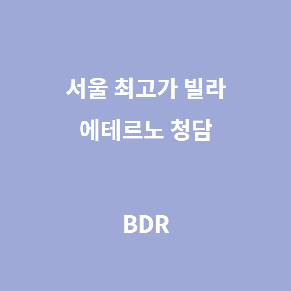  대한민국 최고가 빌라, 에테르노 청담 (평면도, 내부)