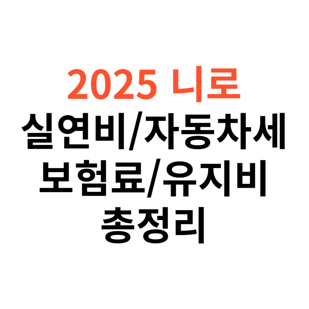 니로 차량 실연비