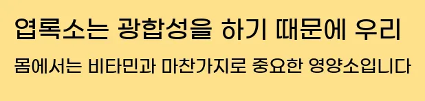  엽록소는 광합성을 하기 때문에 우리 몸에서는 비타민과 마찬가지로 중요한 영양소입니다.