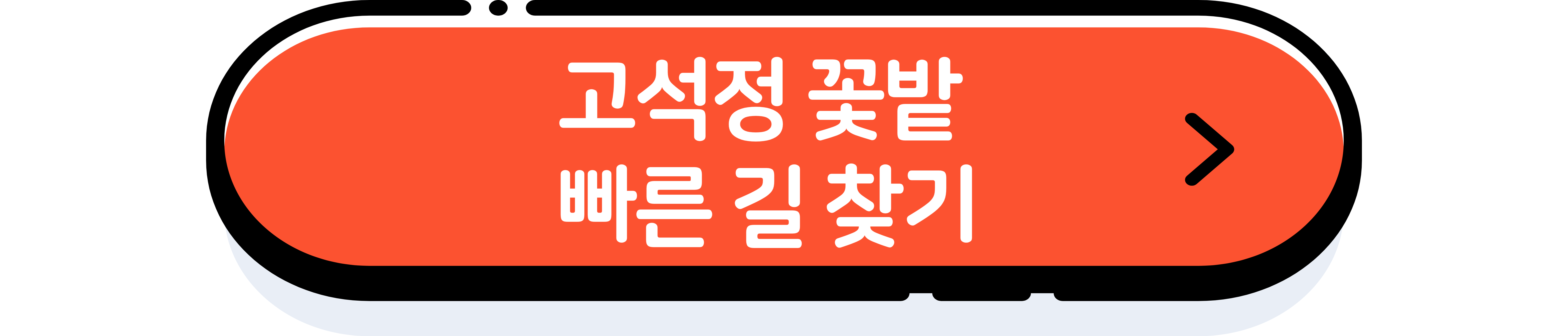 고석정 꽃밭 모든 정보&#44; 꿀팁 총정리