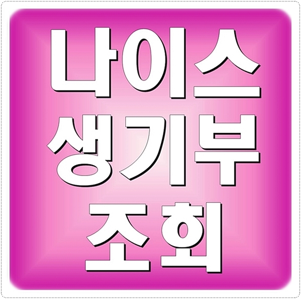  나이스 생기부 조회 인터넷으로 간편하게