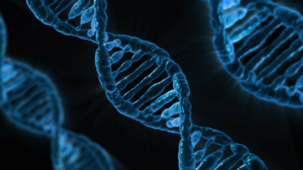 푸른 유전자 DNA 이미지