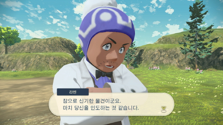 포켓몬 레전드 아르세우스-2-30