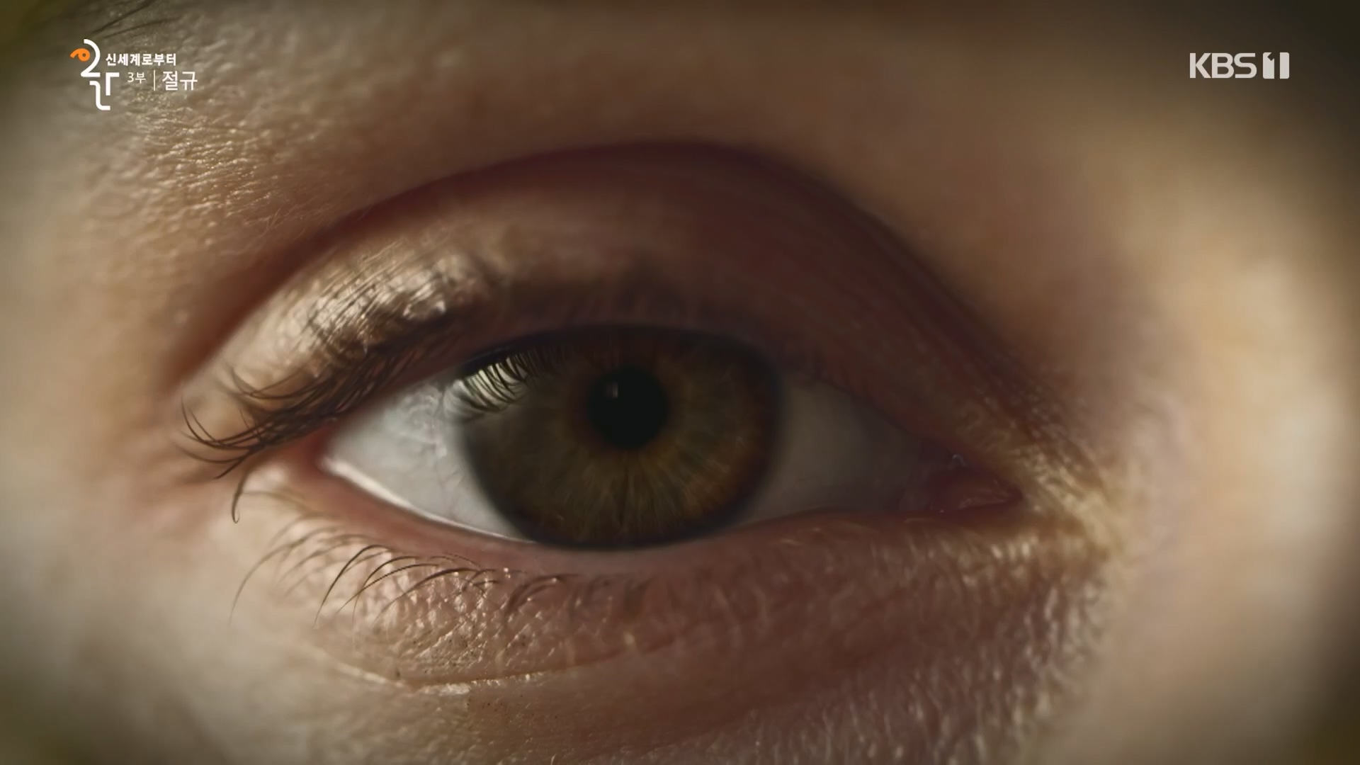 다큐 인사이트.E172.231123p.H264-F1RST.mp4_20231124_213010.169.jpg