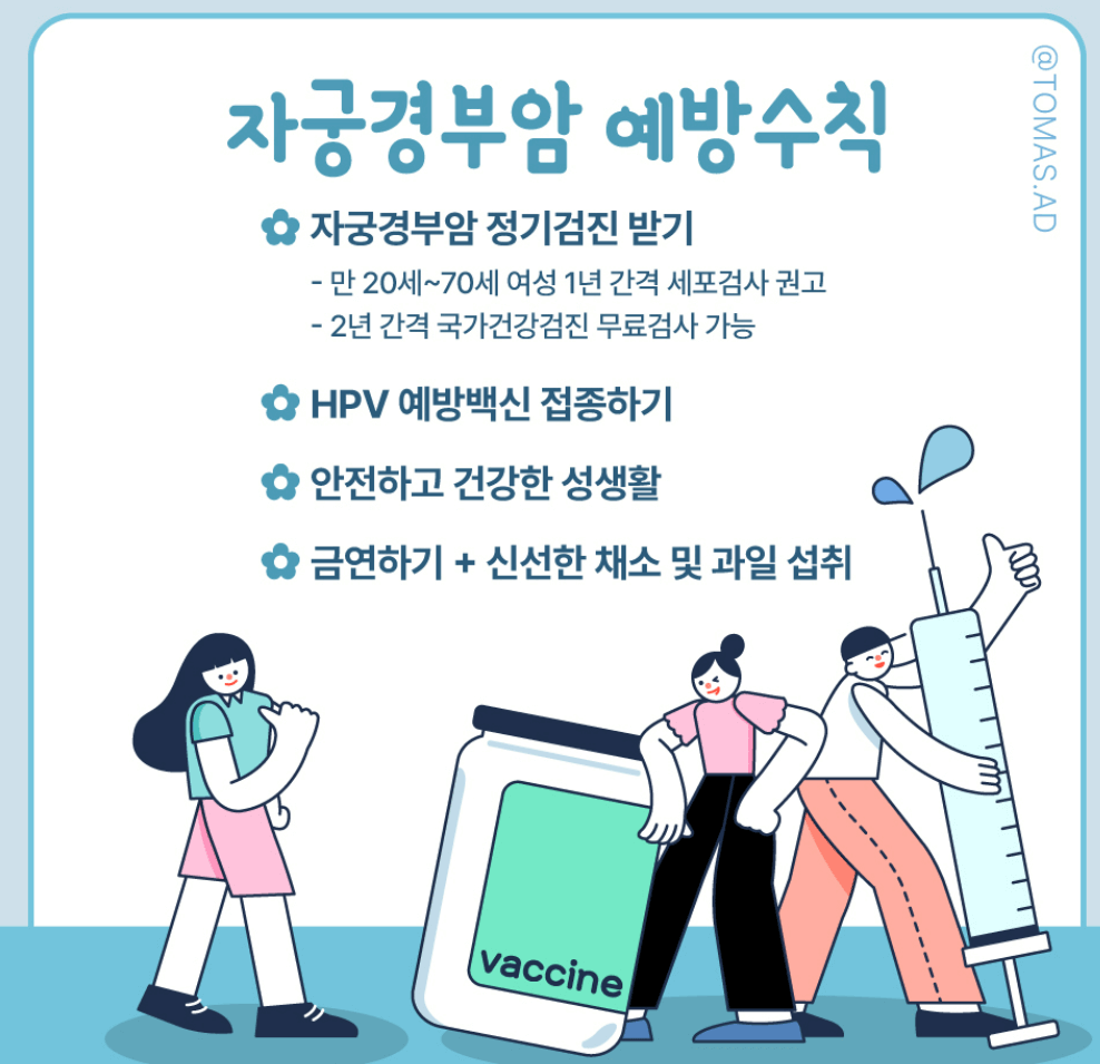 자궁경부암 예방접종 가격 자궁경부암 무료접종 대상