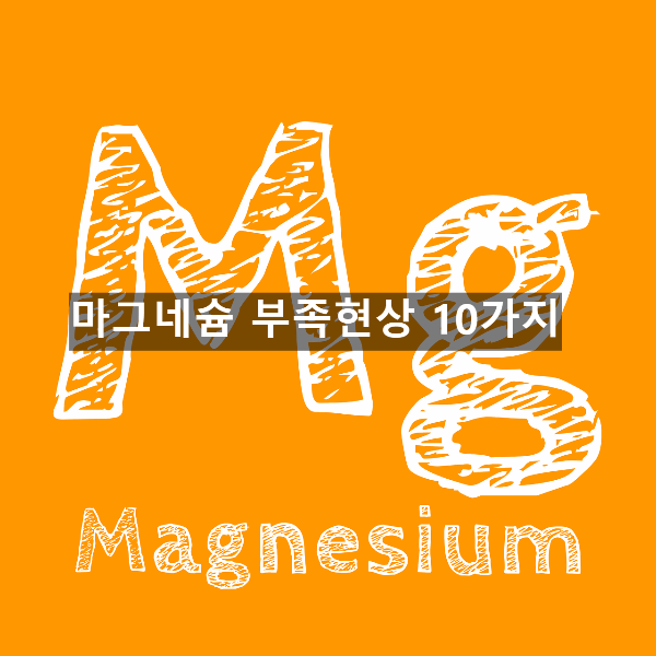  마그네슘 부족현상 10가지
