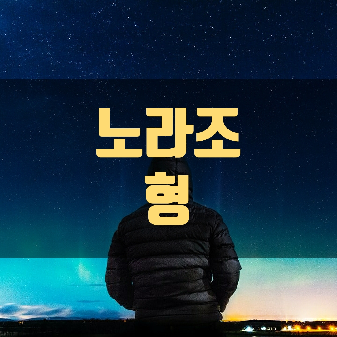  노라조 형 가사 삶이란 시련과 같은 말이야