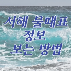  서해 물때표 정보 보는 방법
