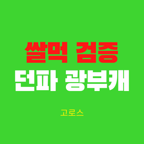  던파 광부 캐릭터 추천