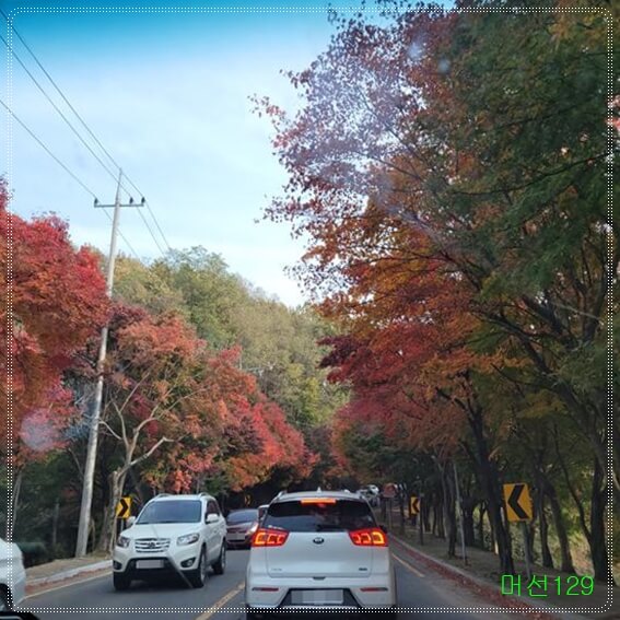 한국의 아름다운 길 선정 팔공산 단풍로드