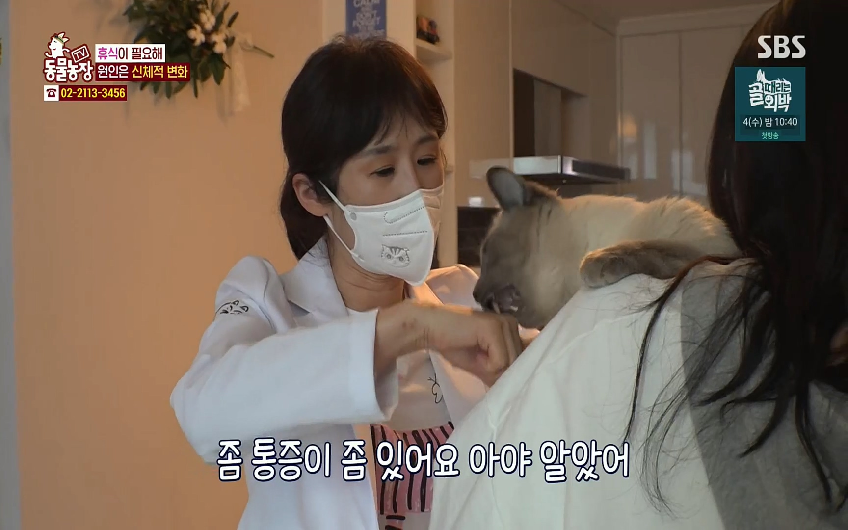 TV 동물농장.E1067.220501p.H264-F1RST.mp4_20220501_182846.545.jpg
