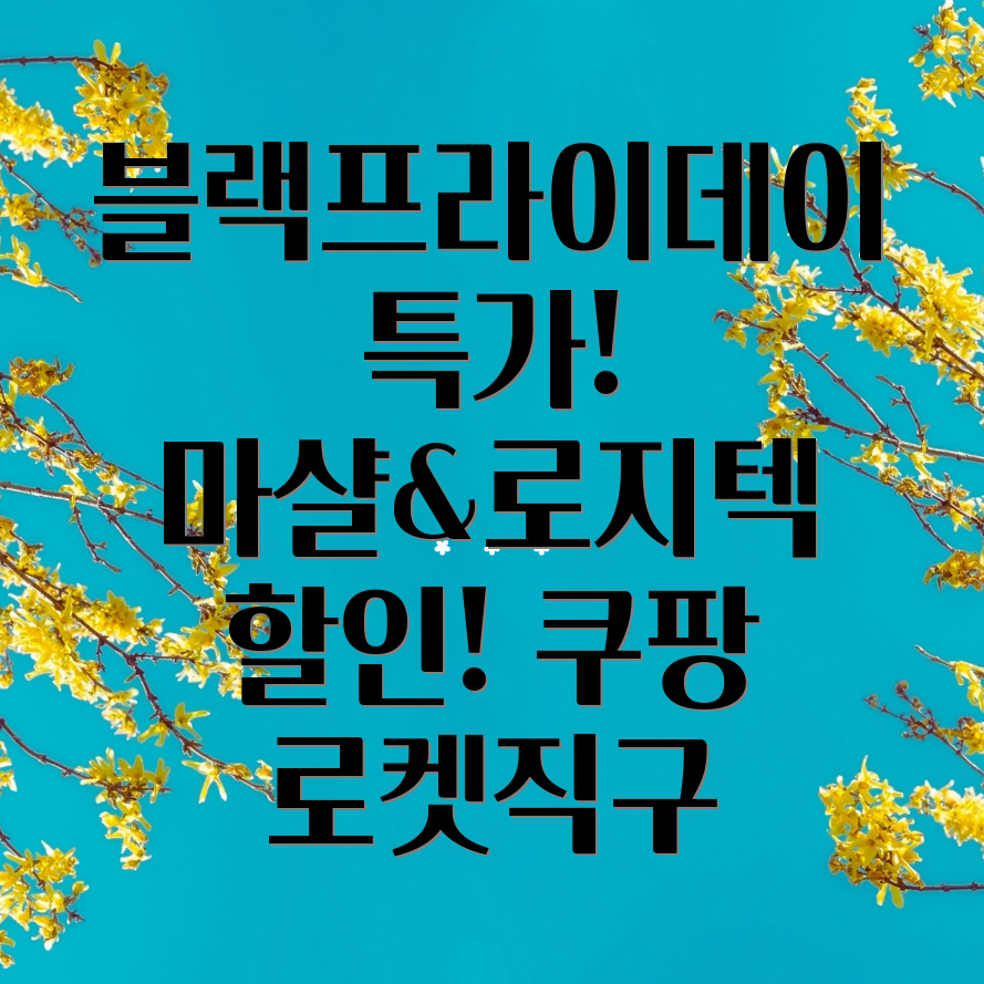 쿠팡 로켓직구 블랙프라이데이