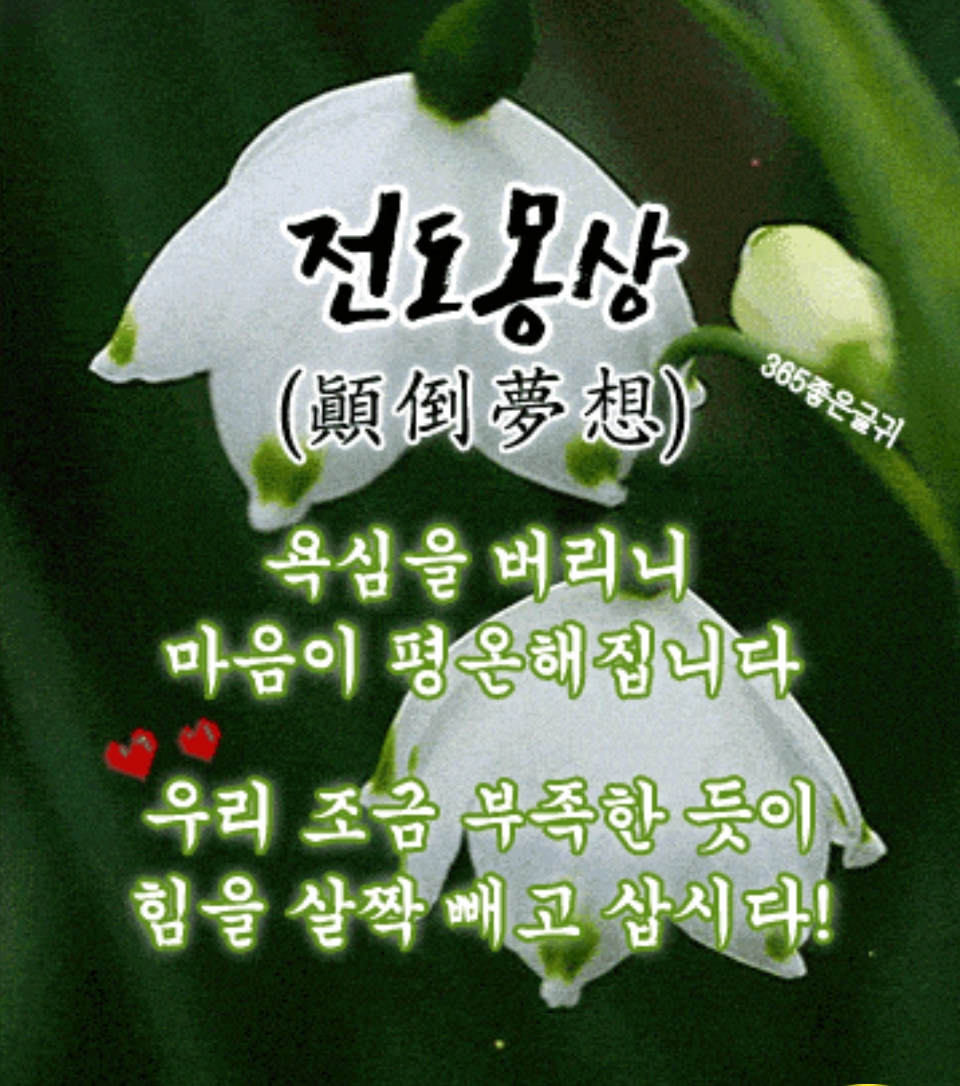  전도몽상(顚倒夢想)