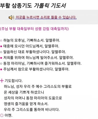 부활 삼종기도 일반 삼종기도 차이_11