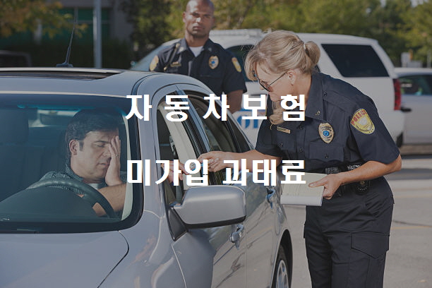  노다지네 잡학다식