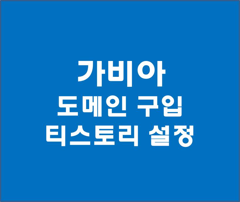 가비아 도메인 구입 방법(Feat. 티스토리 설정)
