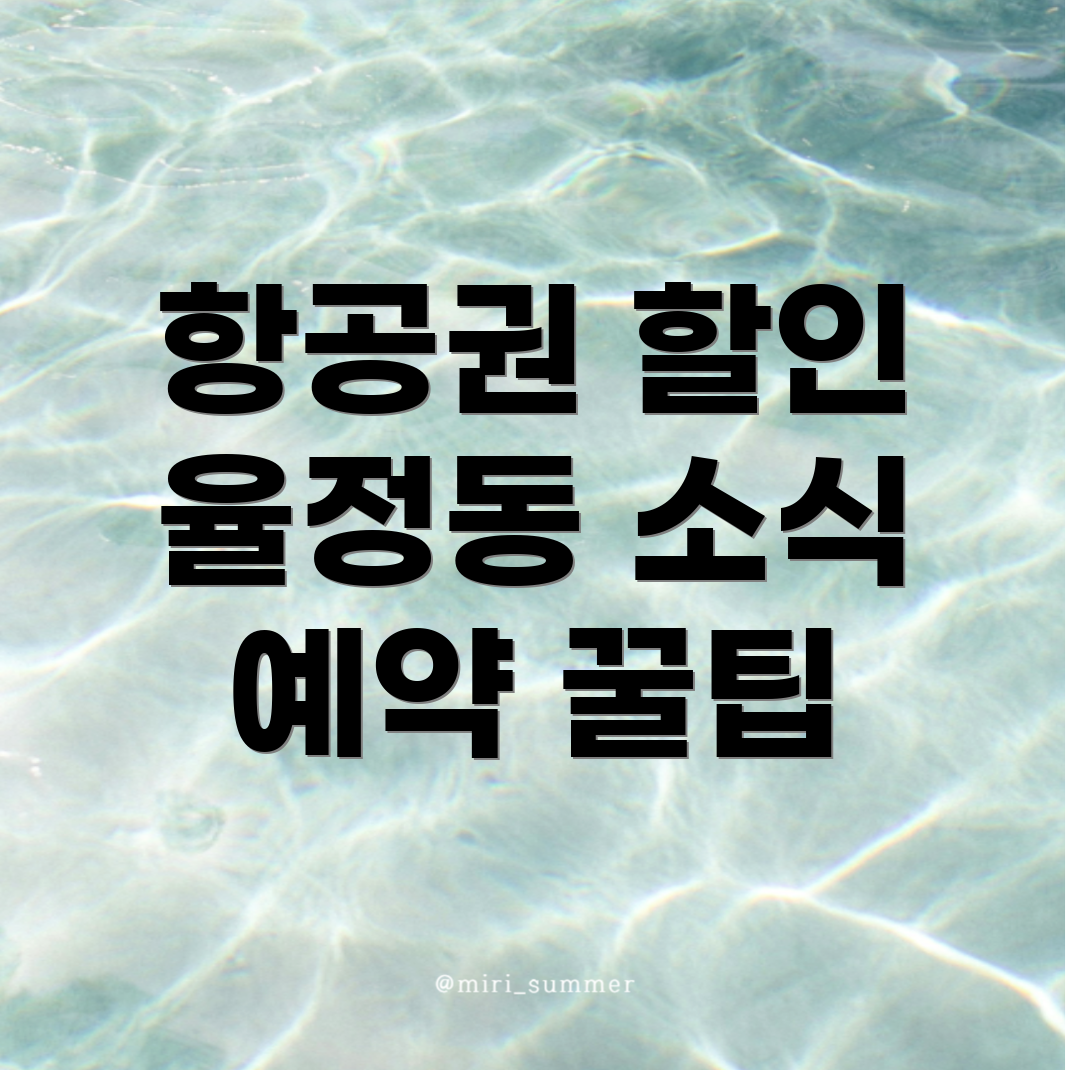 양주시 항공권