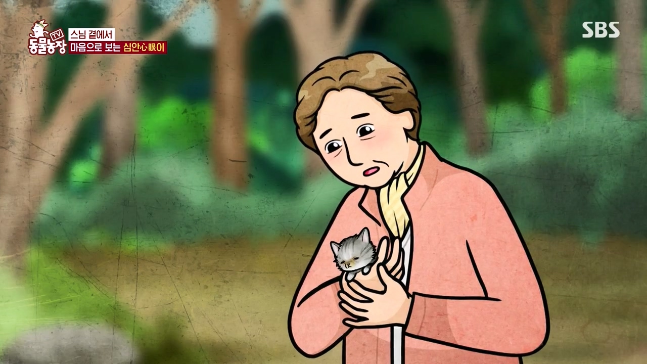 TV 동물농장.E1143.231030p-NEXT.mp4_20231029_161411.486.jpg