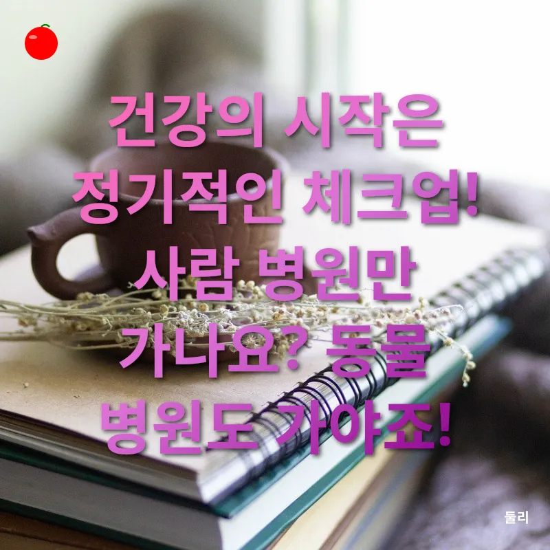 반려동물 건강 관리_1
