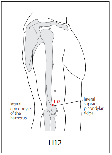 수양명대장경 (LI) > LI12 주료 (肘髎) 1