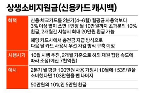  카드 캐시백 시행 사용처(+주의사항)