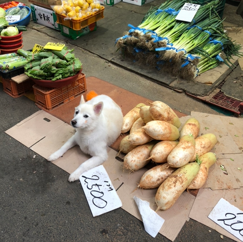  요즘 시장에서 2500원에 파는 것
