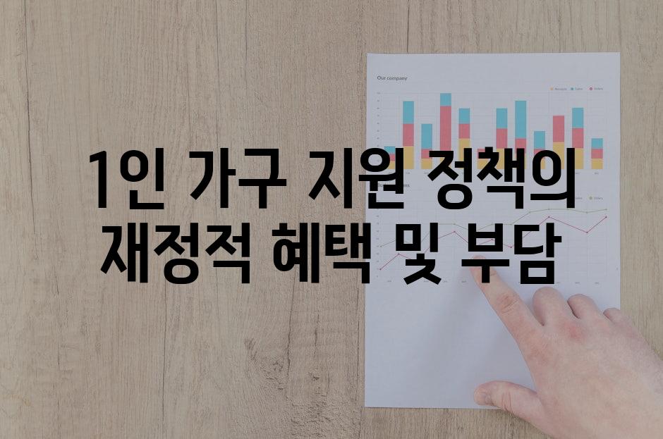 1인 가구 지원 정책의 재정적 혜택 및 부담