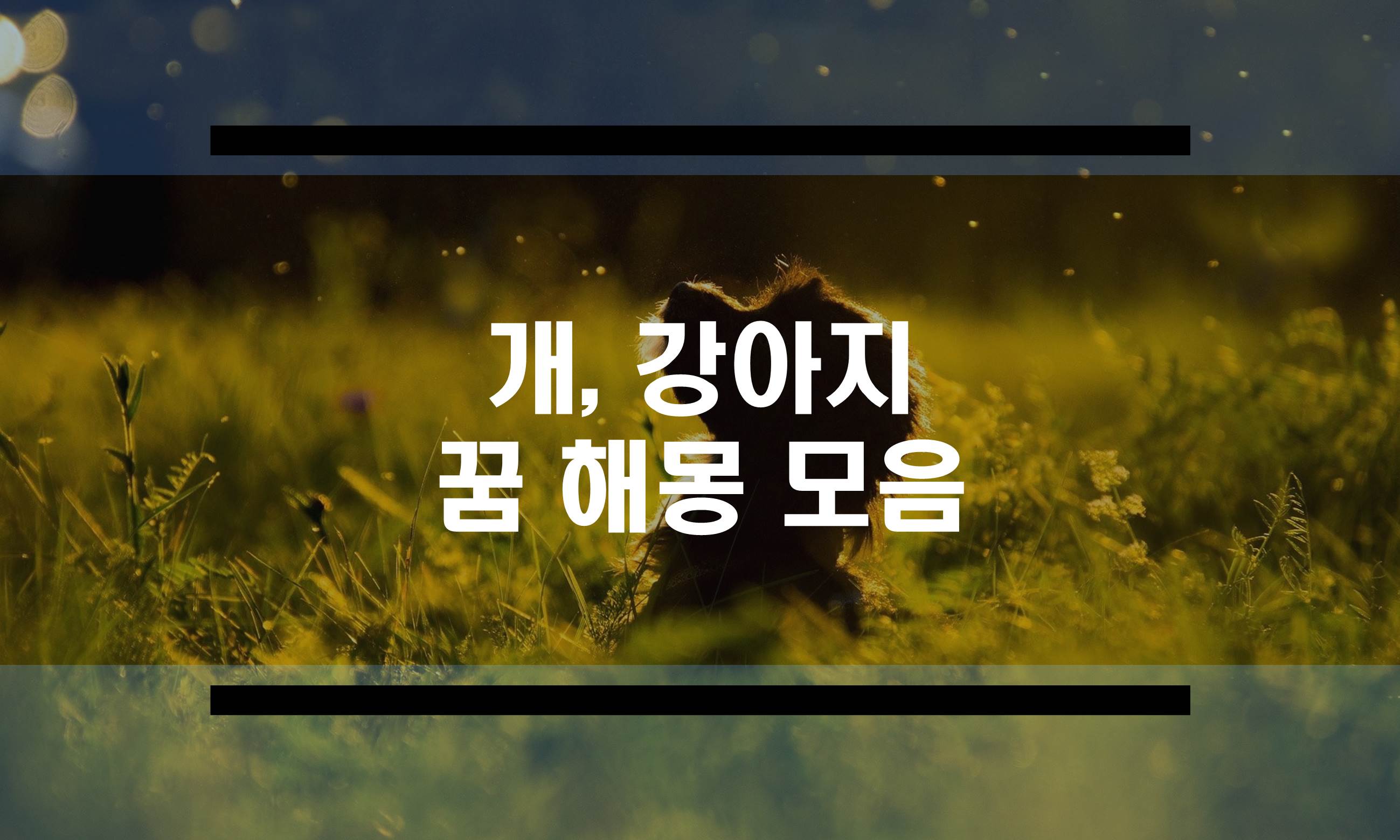  개꿈 해몽, 강아지꿈 해몽 총 정리