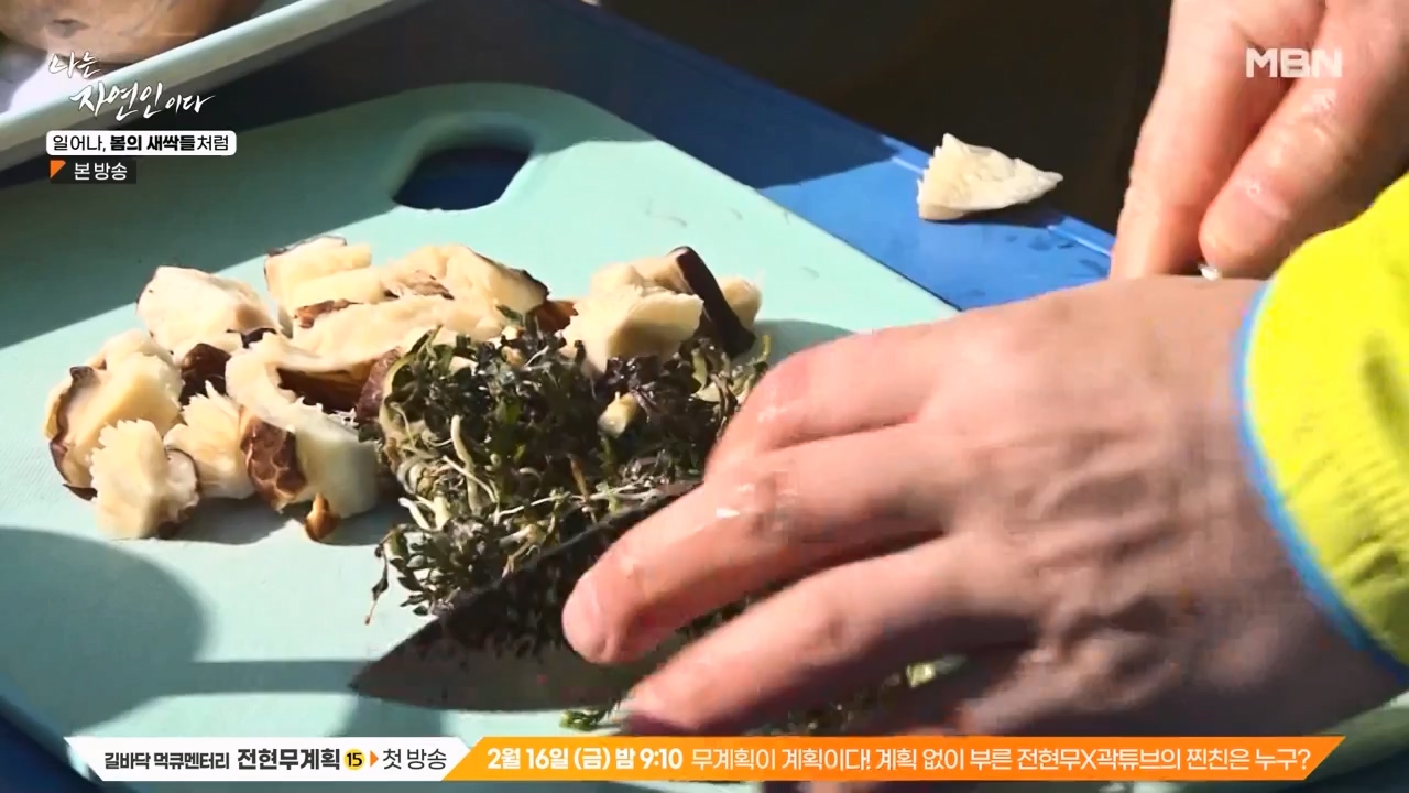 나는 자연인이다.E593.240215p-NEXT.mp4_20240215_200730.785.jpg