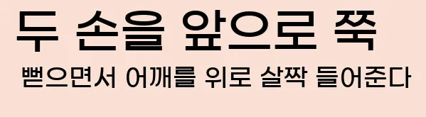  2) 두 손을 앞으로 쭉 뻗으면서 어깨를 위로 살짝 들어준다.