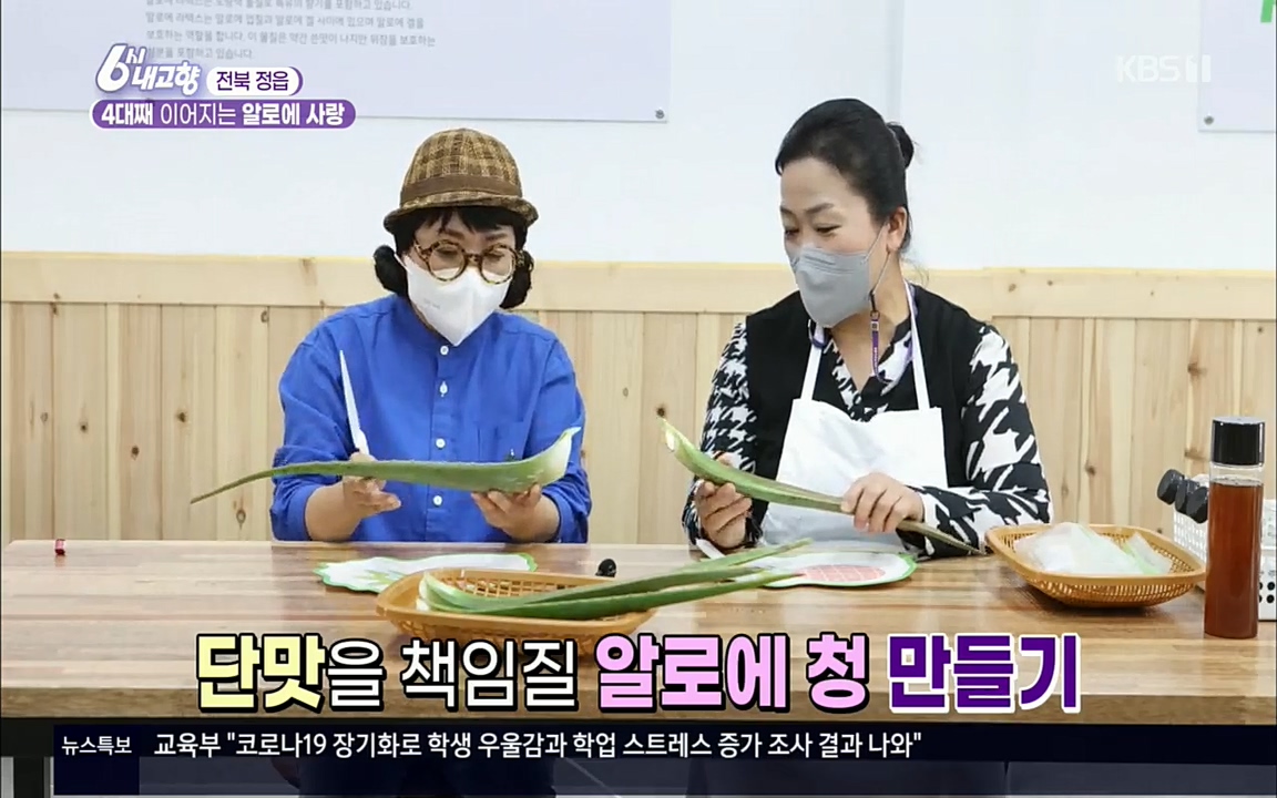 6시 내고향.E7511.220415p.H264-F1RST.mp4_20220425_170035.069.jpg