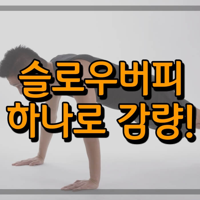  슬로우버피 칼로리 및 체지방 감소 효과 (운동 팁)
