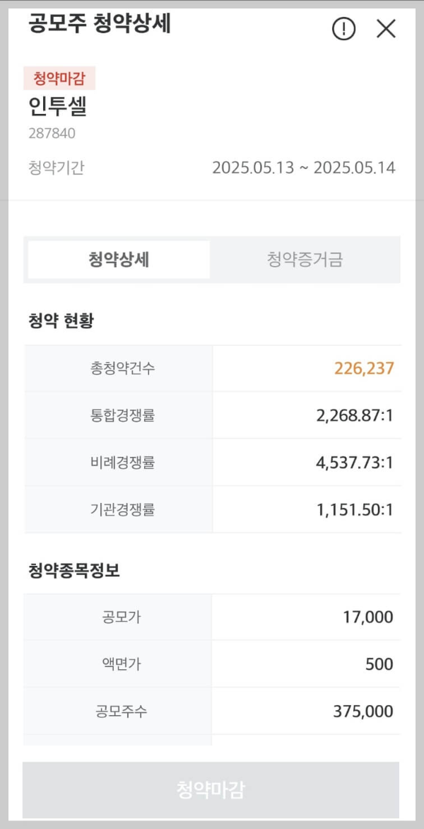 인투셀