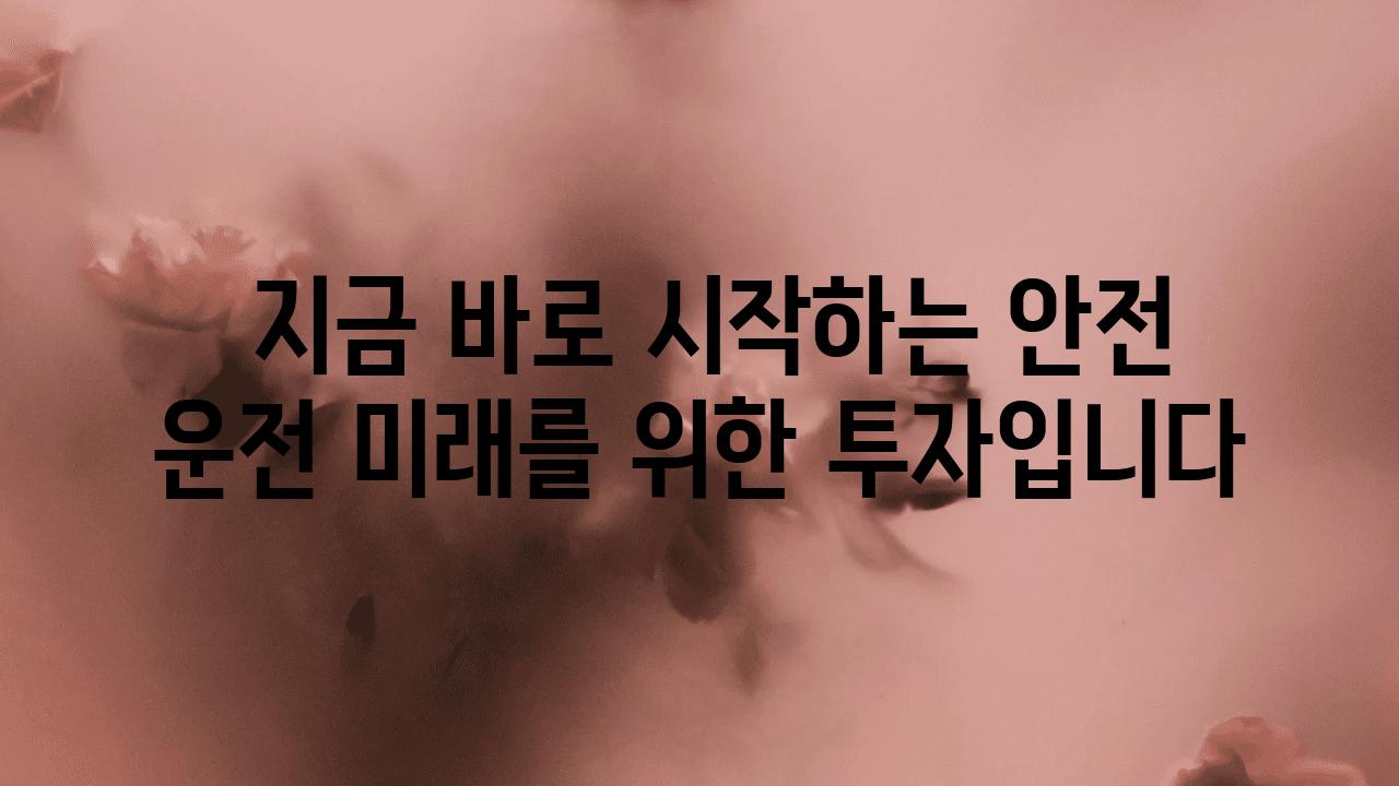  지금 바로 시작하는 안전 운전 미래를 위한 투자입니다