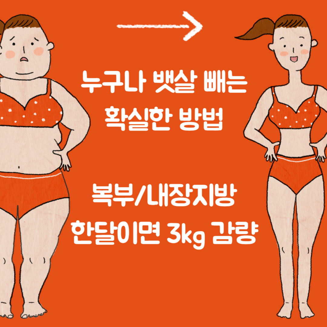 누구나 뱃살 빼는 확실한 방법