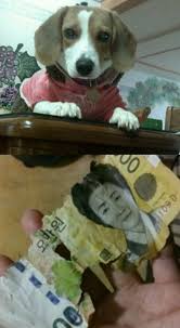 꿈 이미지