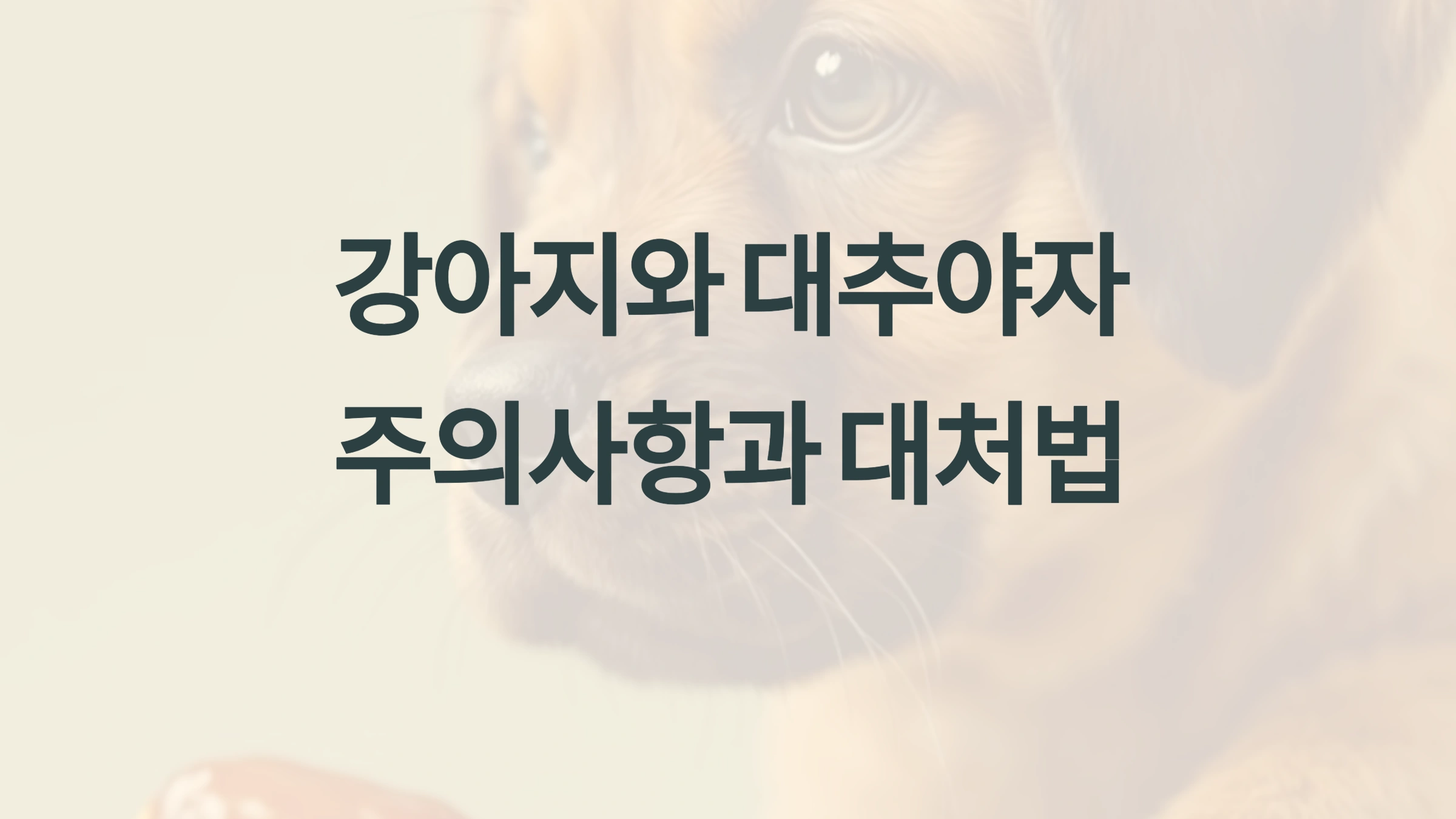 대추야자와 강아지 기본 정보