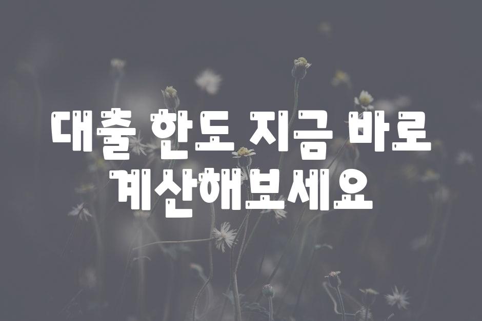 대출 한도, 지금 바로 계산해보세요