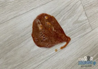 강아지 토 색깔 증상 강아지 토하는 원인과 구토 종류별 건강상태 살펴보기_19