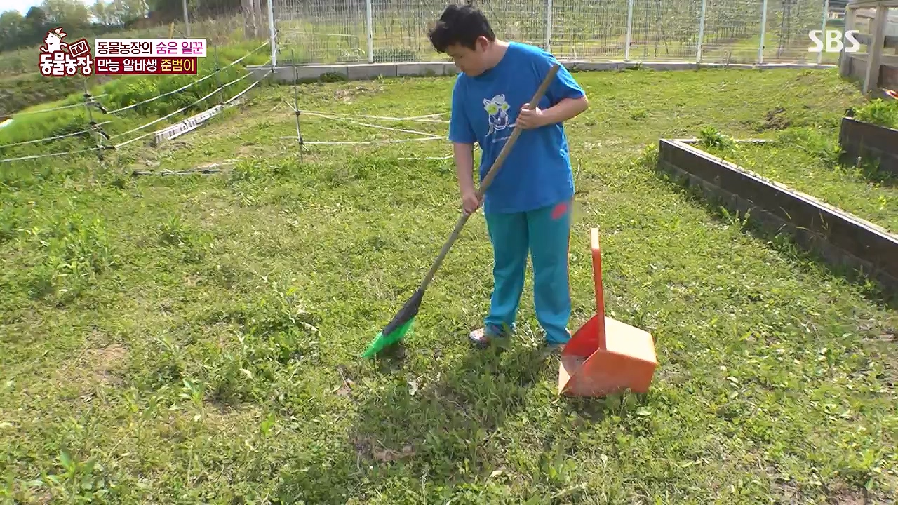 TV 동물농장.E1176.240617p-NEXT.mp4_20240616_171019.197.jpg