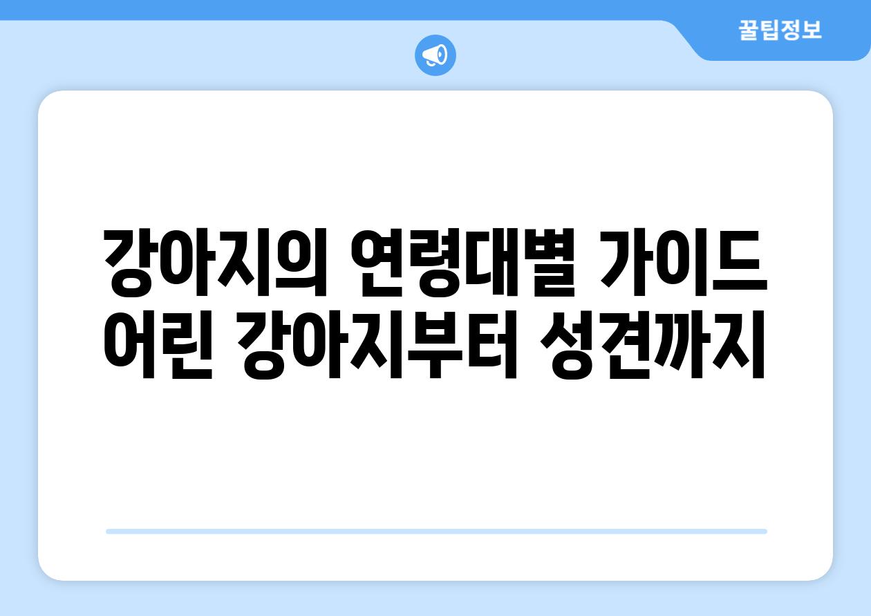 강아지의 연령대별 설명서 어린 강아지부터 성견까지