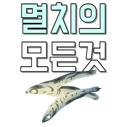  멸치 종류 멸치 제철 좋은 멸치 고르는 방법 대멸 중멸 자멸 차이