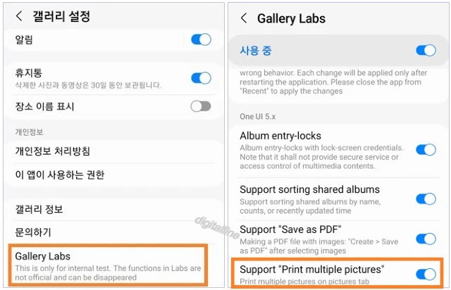 Gallery Labs - Support "Print multiple pictures" 스위치를 활성화합니다.