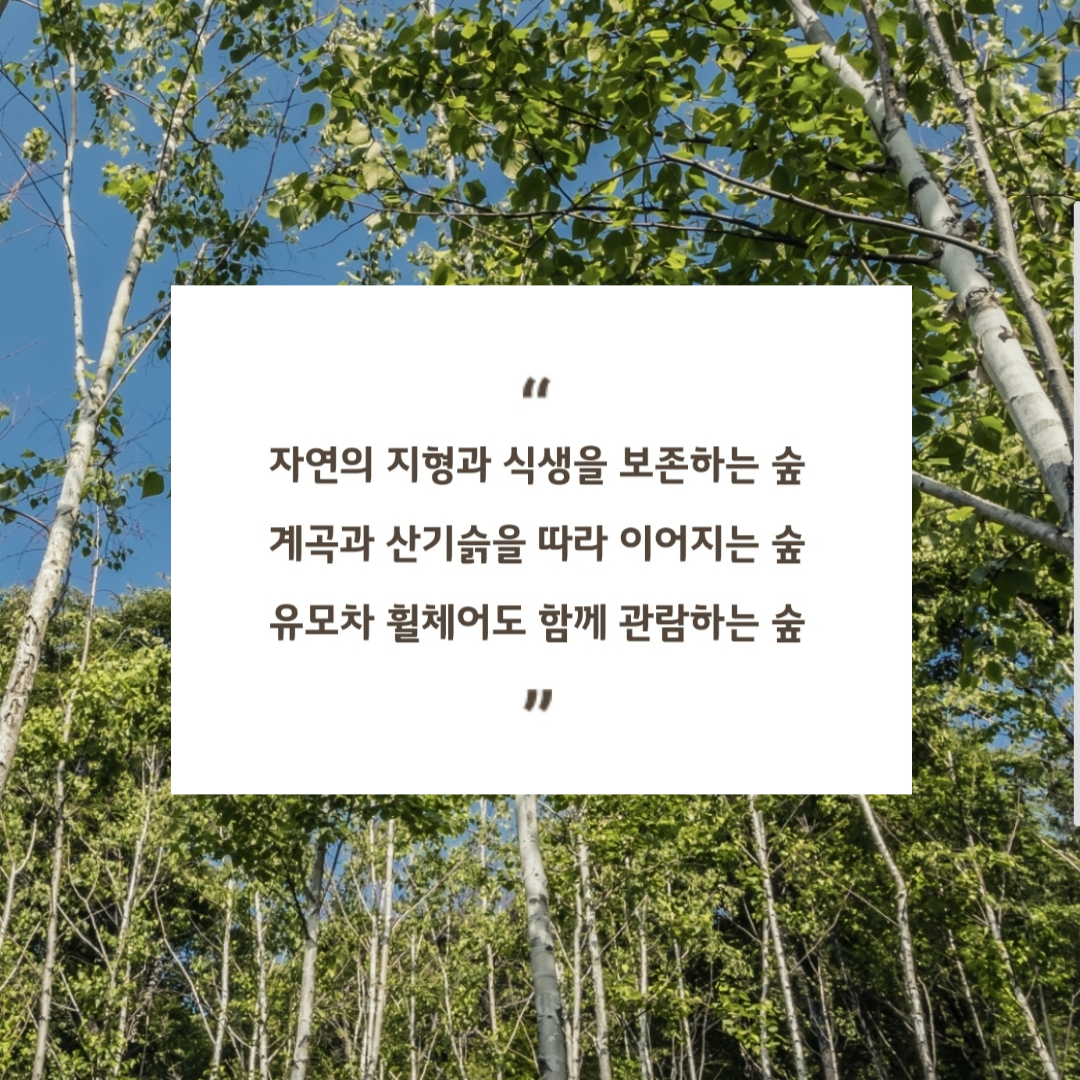화담숲
