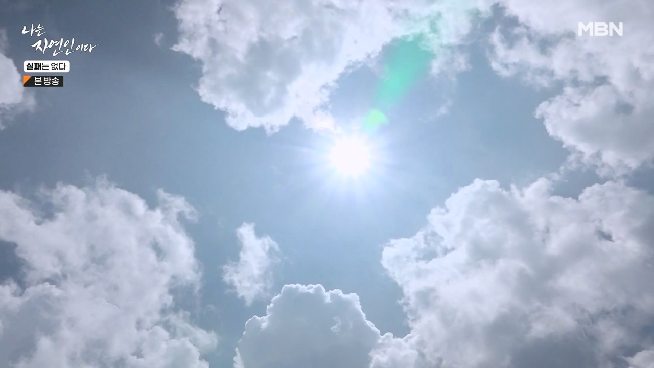 나는 자연인이다.E567.230817p-NEXT.mp4_20230817_202908.532.jpg